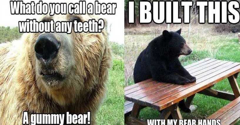 funny-bear-puns-u1.jpg