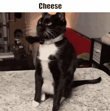 funny.gif