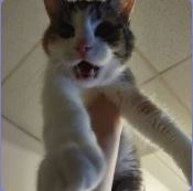 Funny Pic.JPG