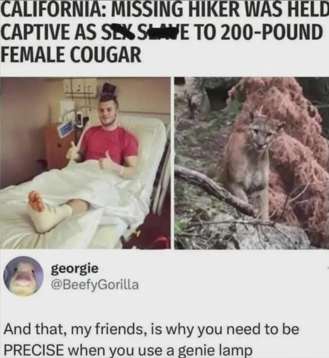 fuyormdobgue1.png