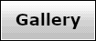 Gallery.png