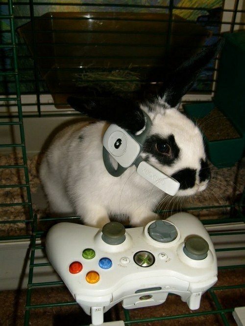 Gaming.jpg
