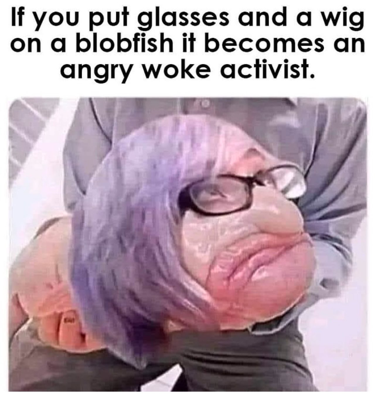 GdnCnImboAM1GoV.jpeg