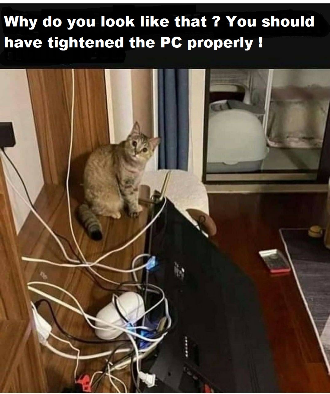 ggg7.jpg