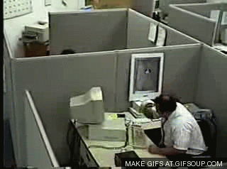 giphy (32).gif