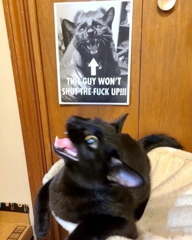 GmnCsFmbEAACJPr.jpeg