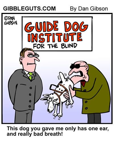 guide-dog-blind.jpg