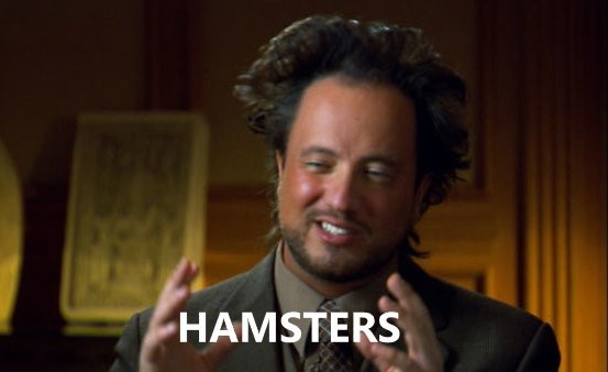 Hamsters.jpg
