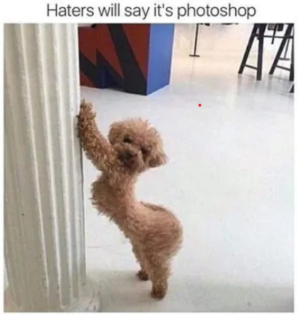 Haters.png