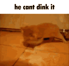 hecantdinkit.gif