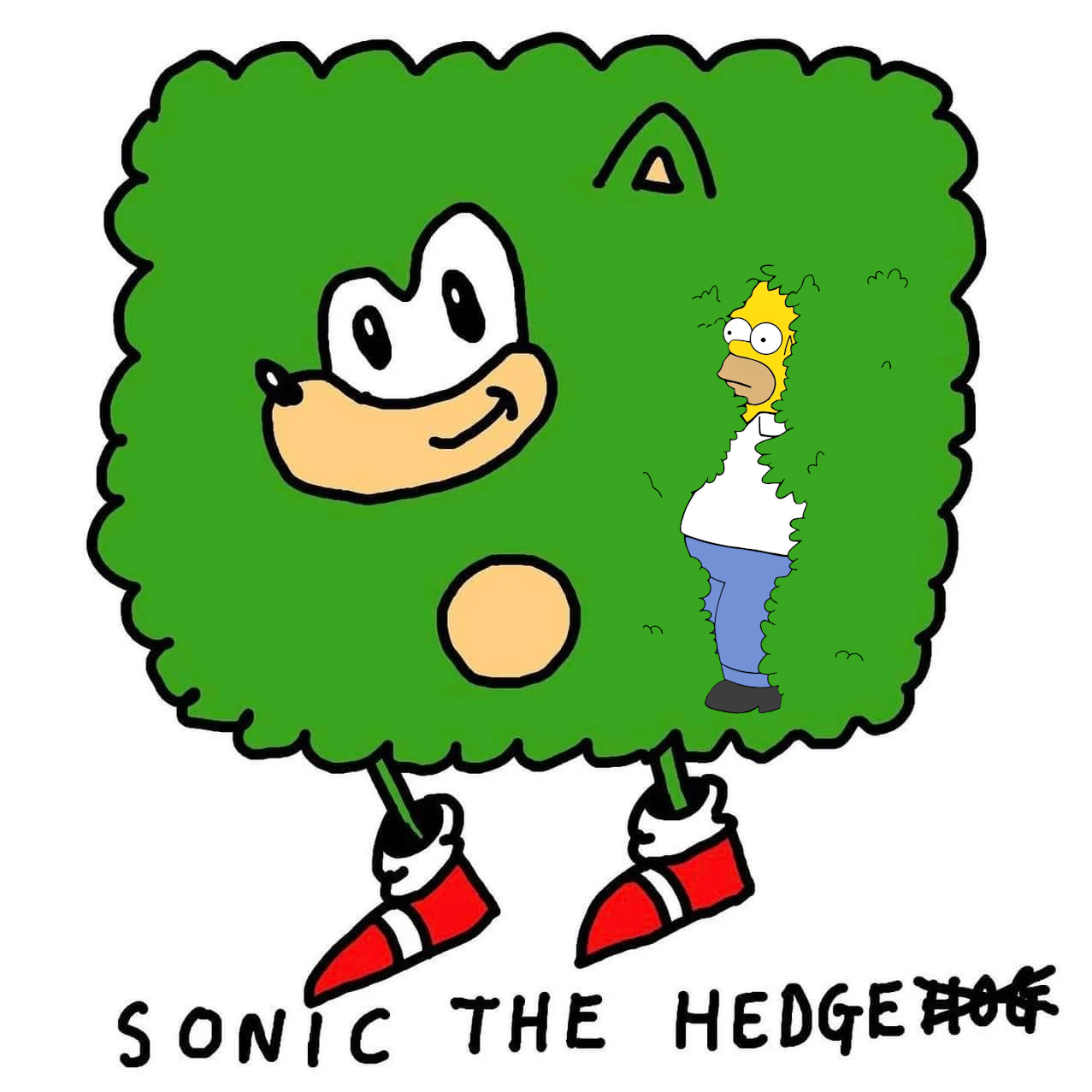 hedge.png