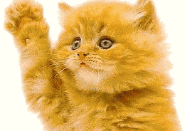 HELLOKITTY.gif