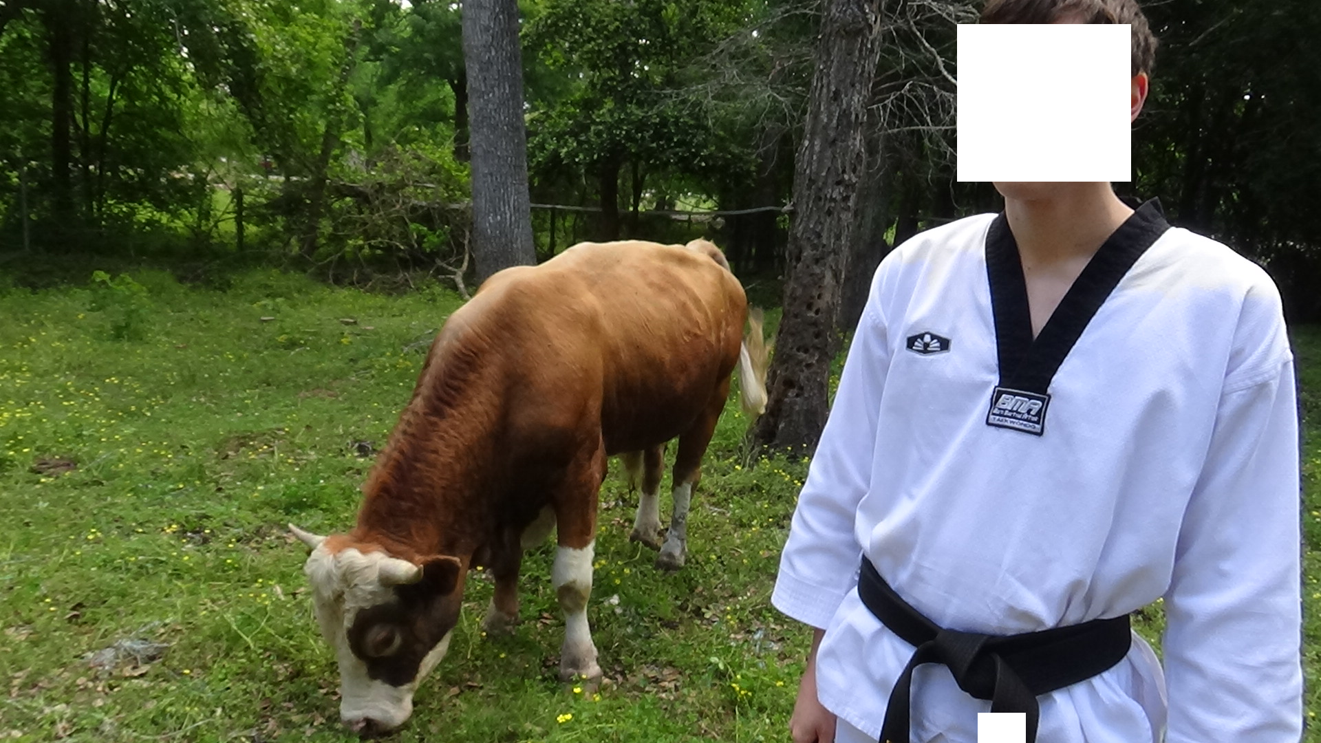 Heres Rocky.png