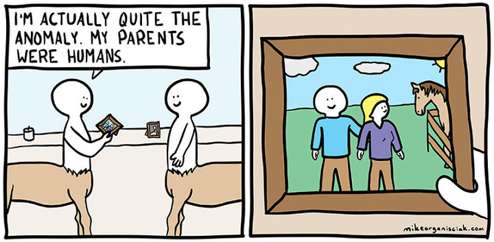 horsecourse.jpg