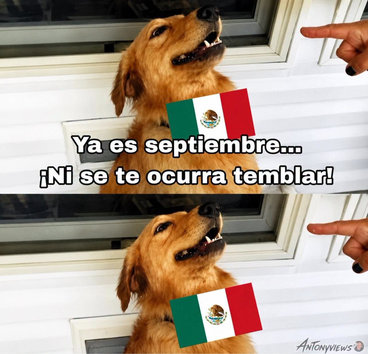 HRJsdXQXEAAO53M.jpeg