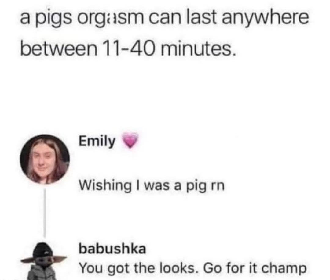 huil1eoa349f1.jpeg