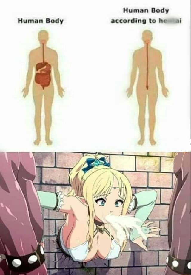 human-body.jpg