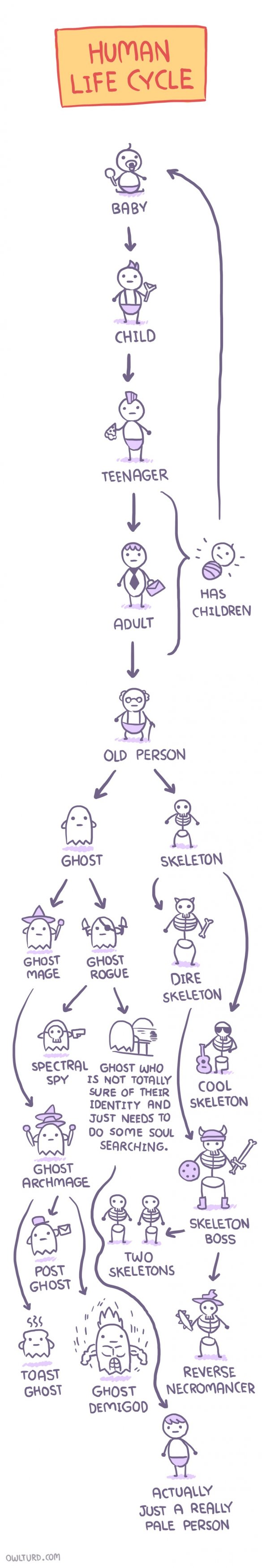 HumanCycle.jpg