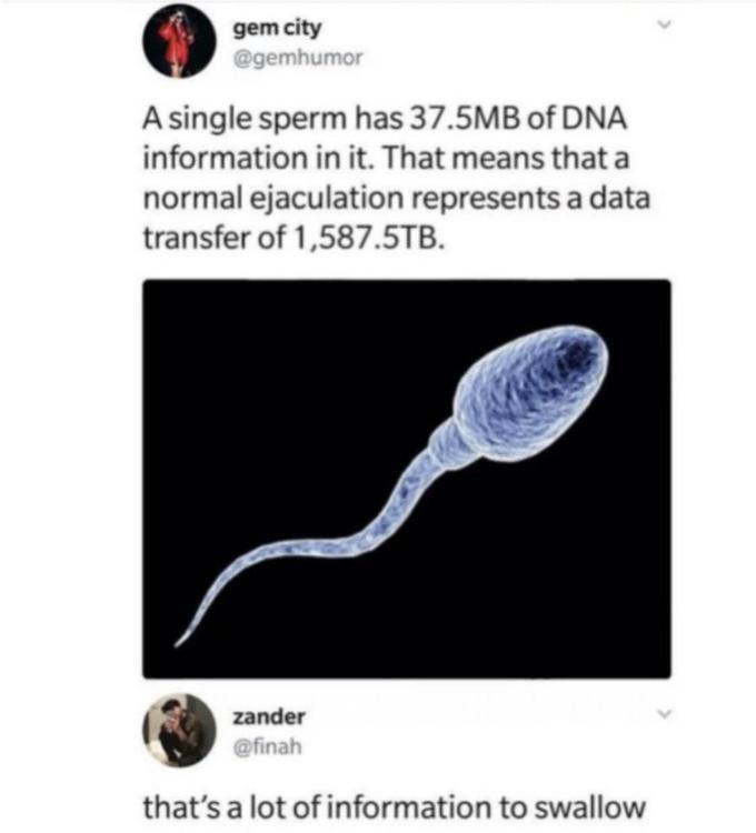 HXnV4Pk.jpeg