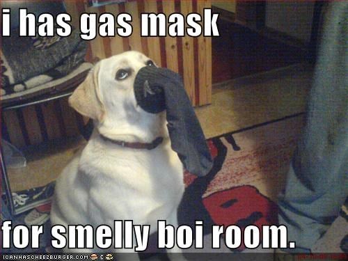 i-has-gas-mask-for-smelly-boi-room.jpg