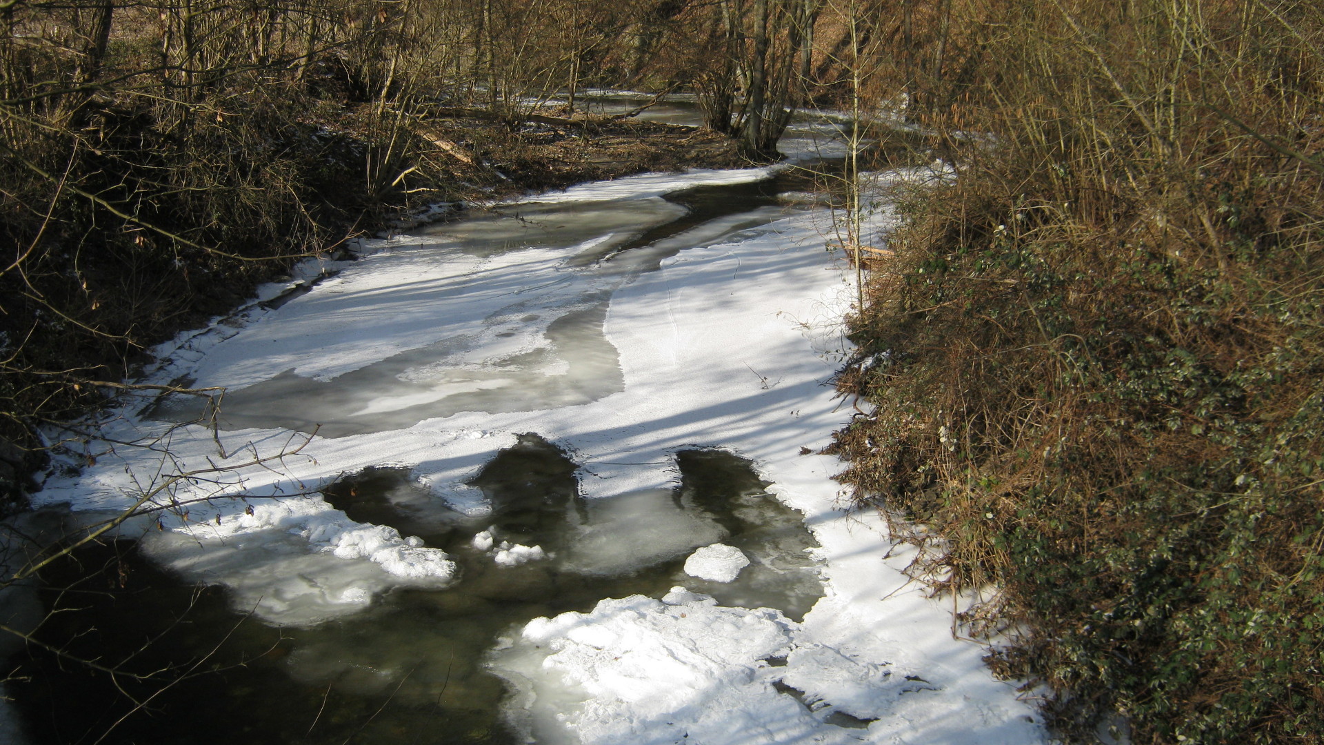 ice.jpg