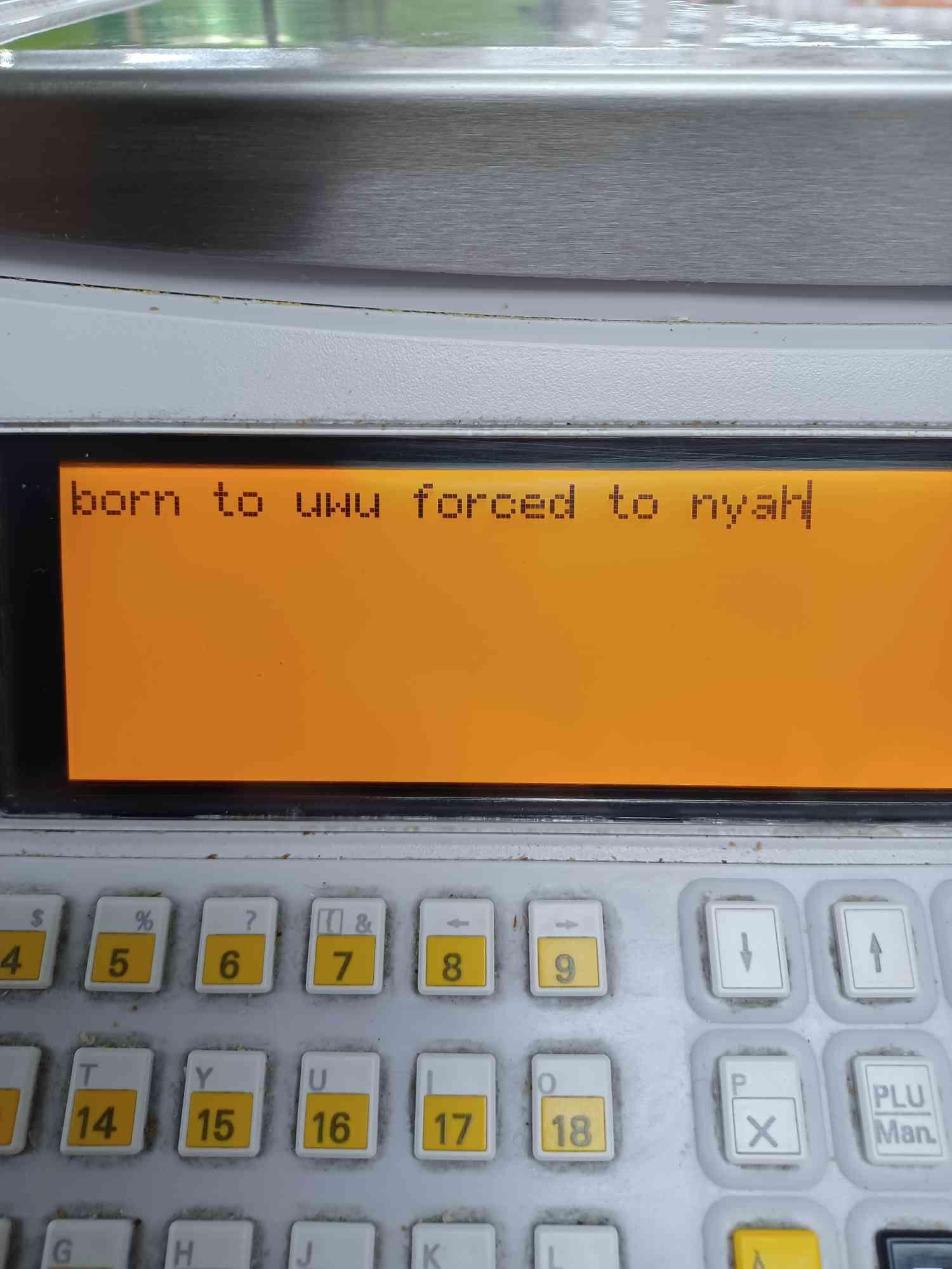 ikElQbH.jpeg