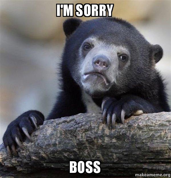 im-sorry-boss-pun7g7.jpg