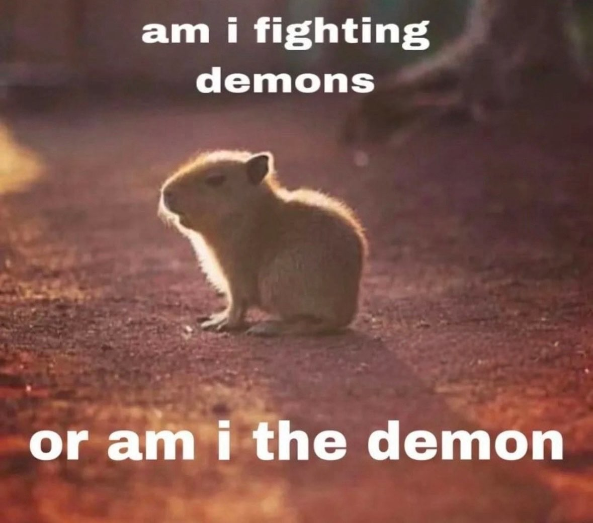 image-32.png