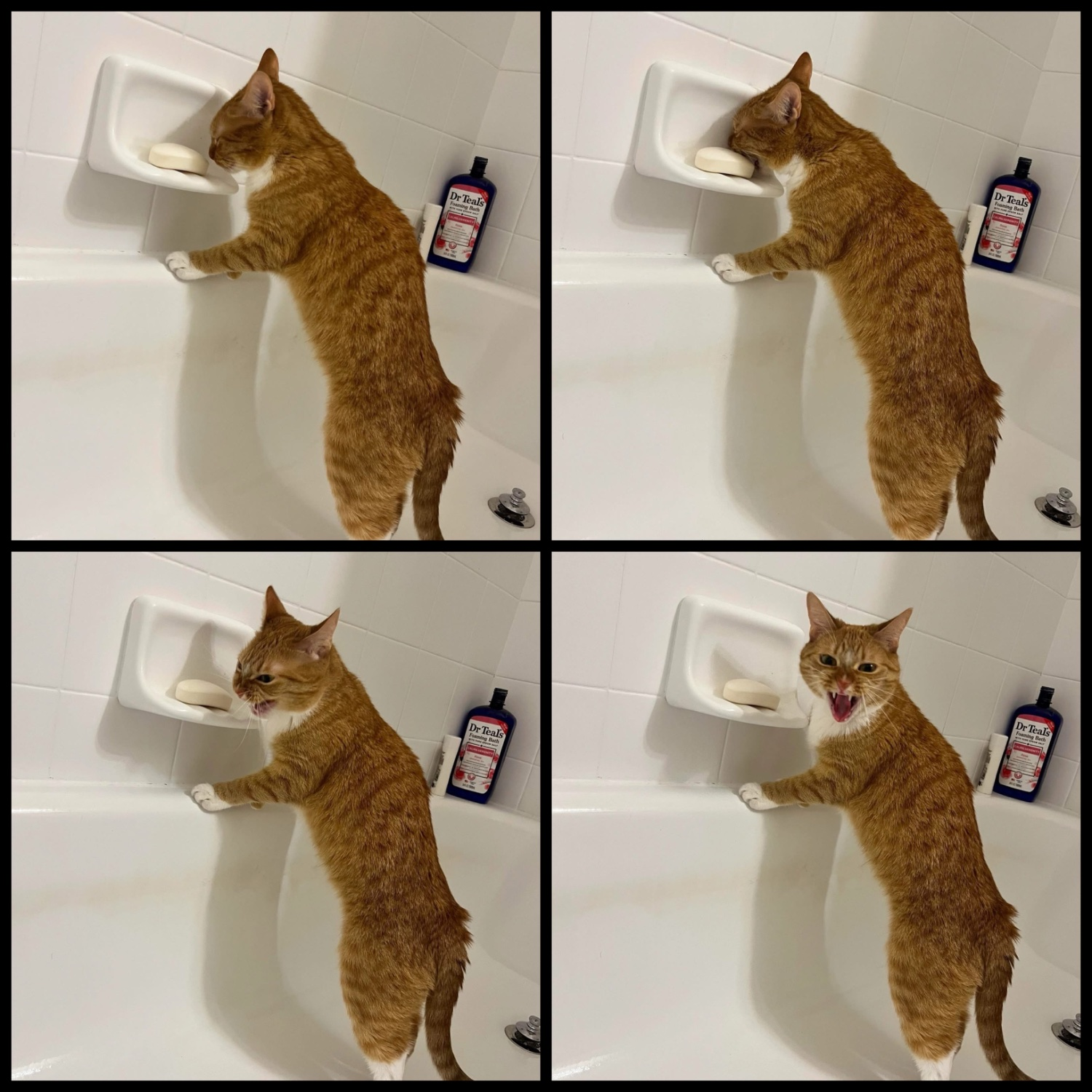 image-489.png