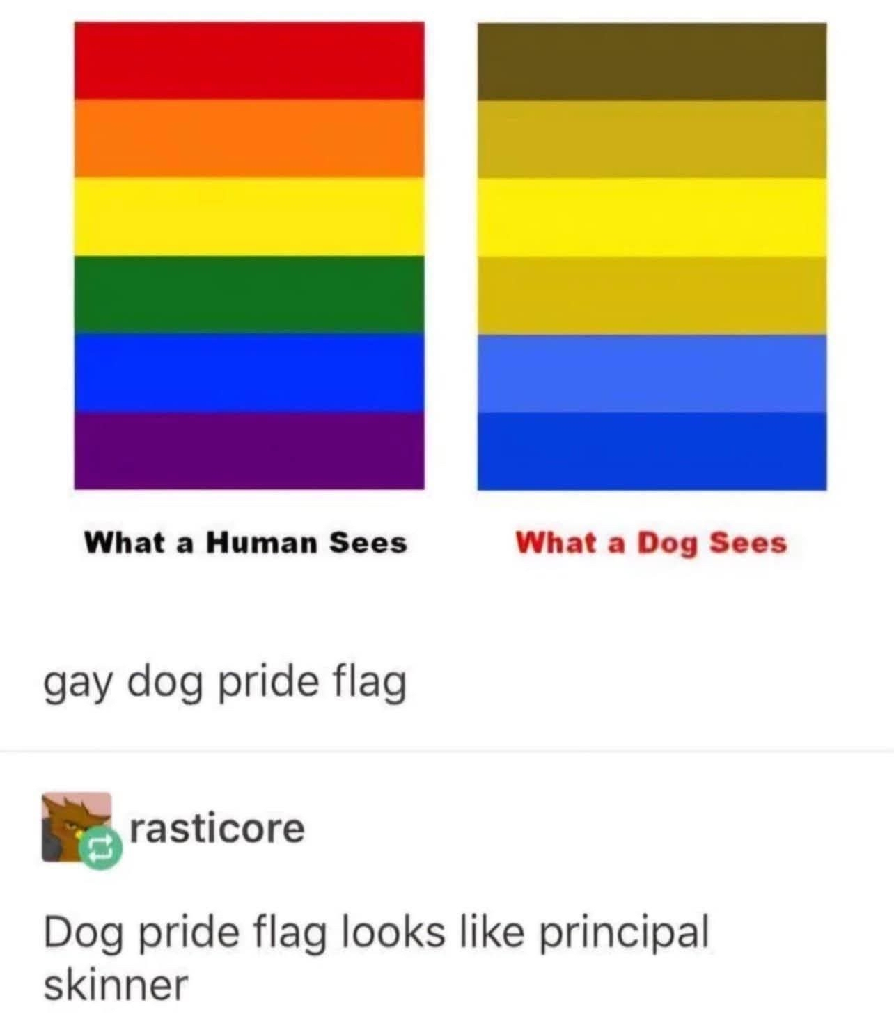 image-9.png