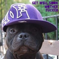 image.jpeg