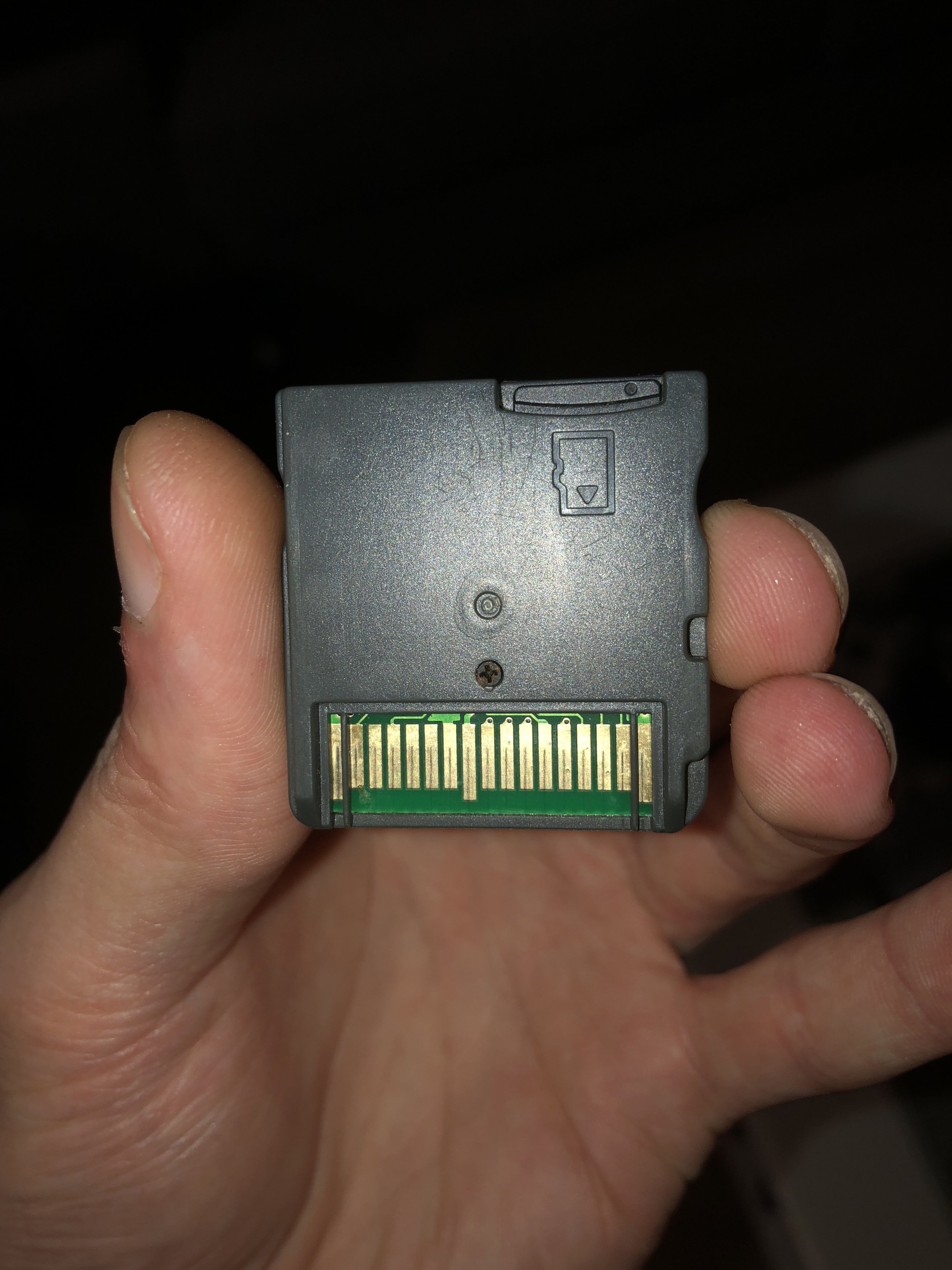 image.jpg