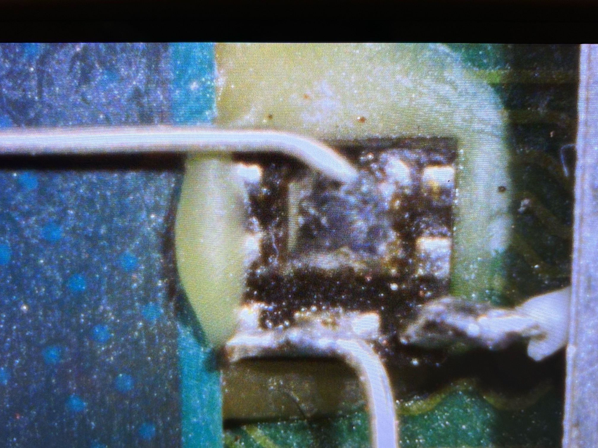image3 (2).jpeg