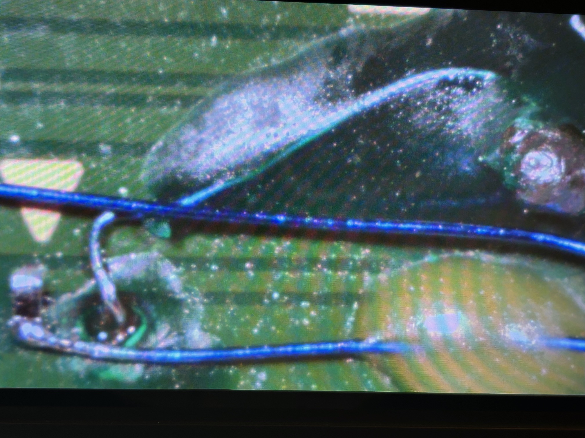 image4 (2).jpeg