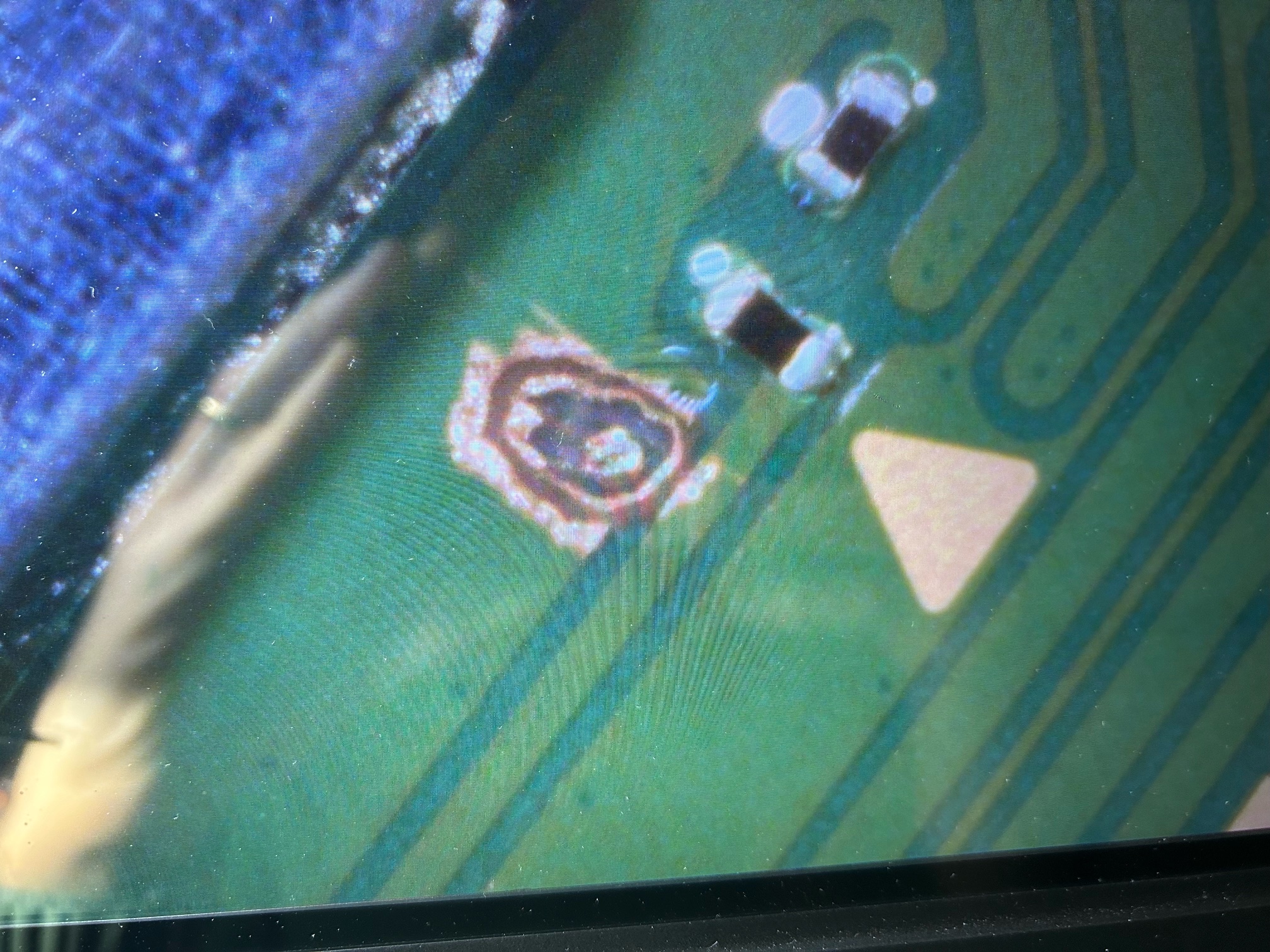 image5 (3).jpeg