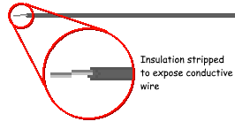 image5.png