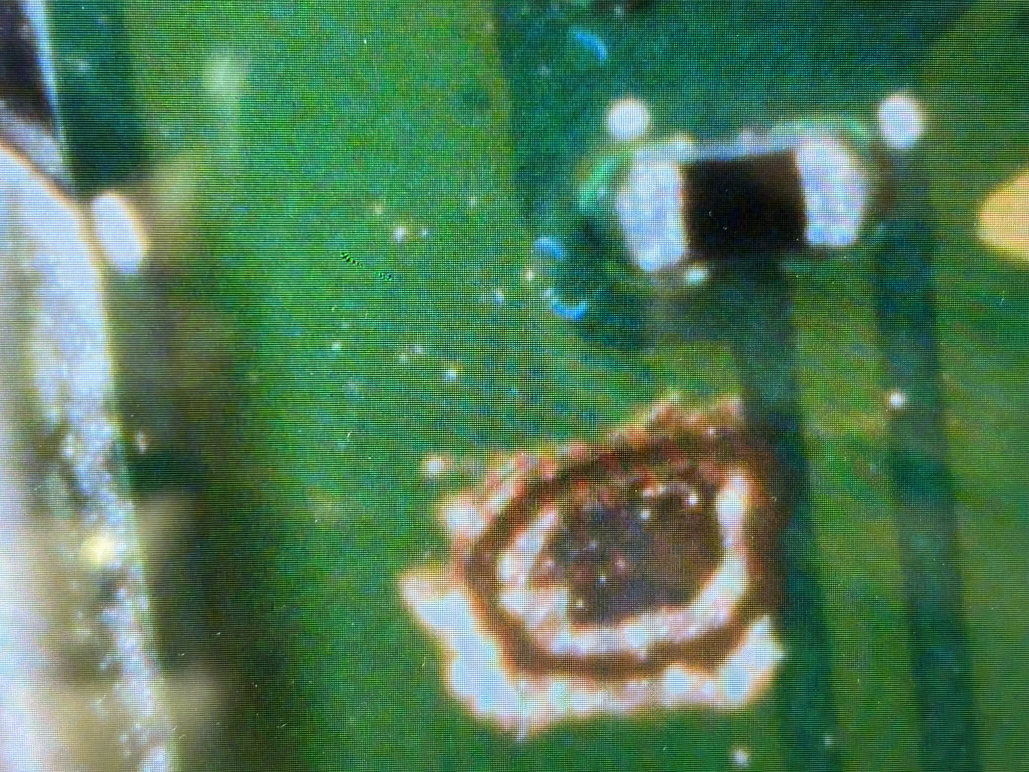 image6 (1).jpeg