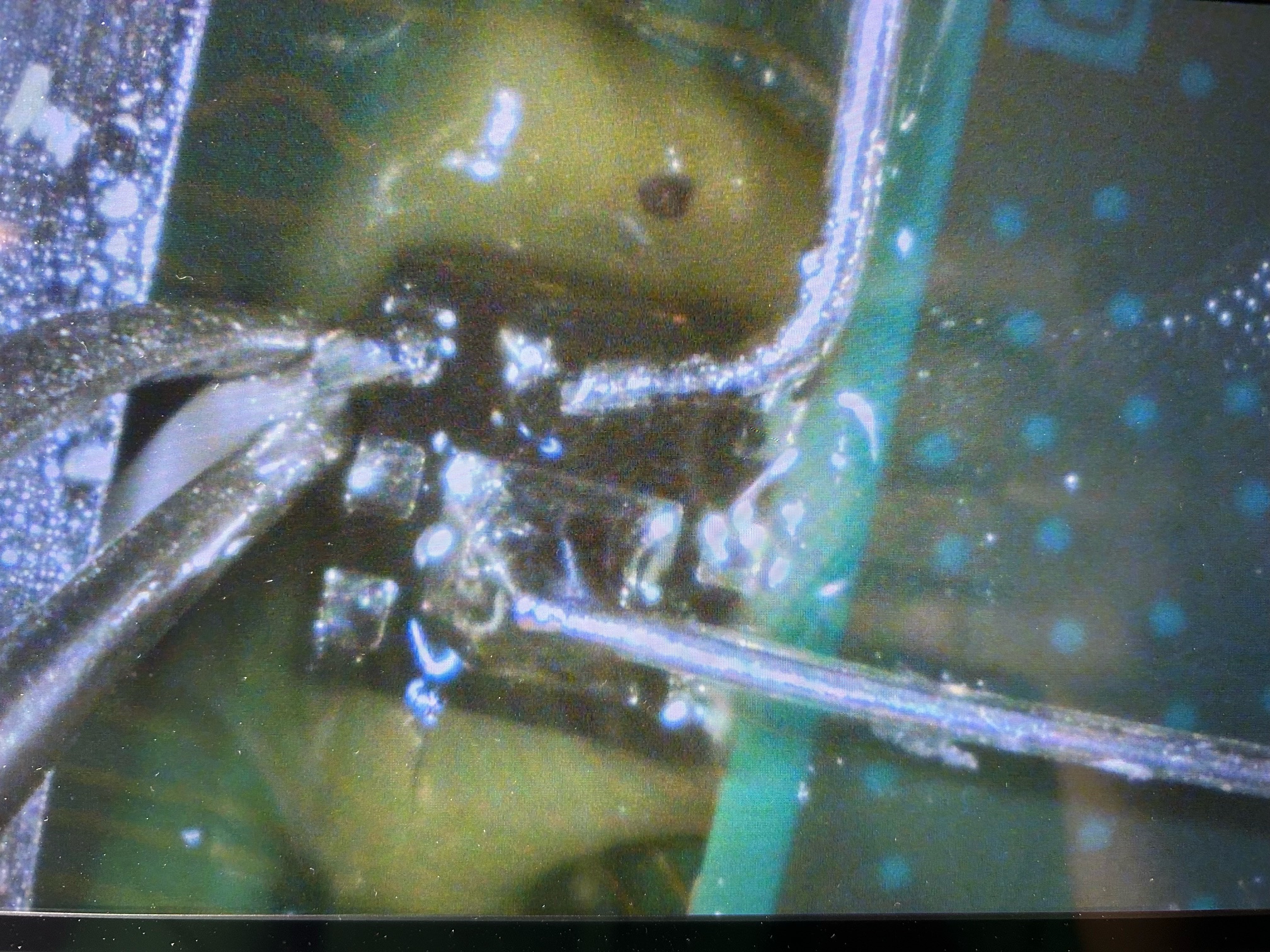image8.jpeg