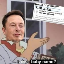 images (12).jpeg