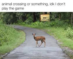 images.jpeg