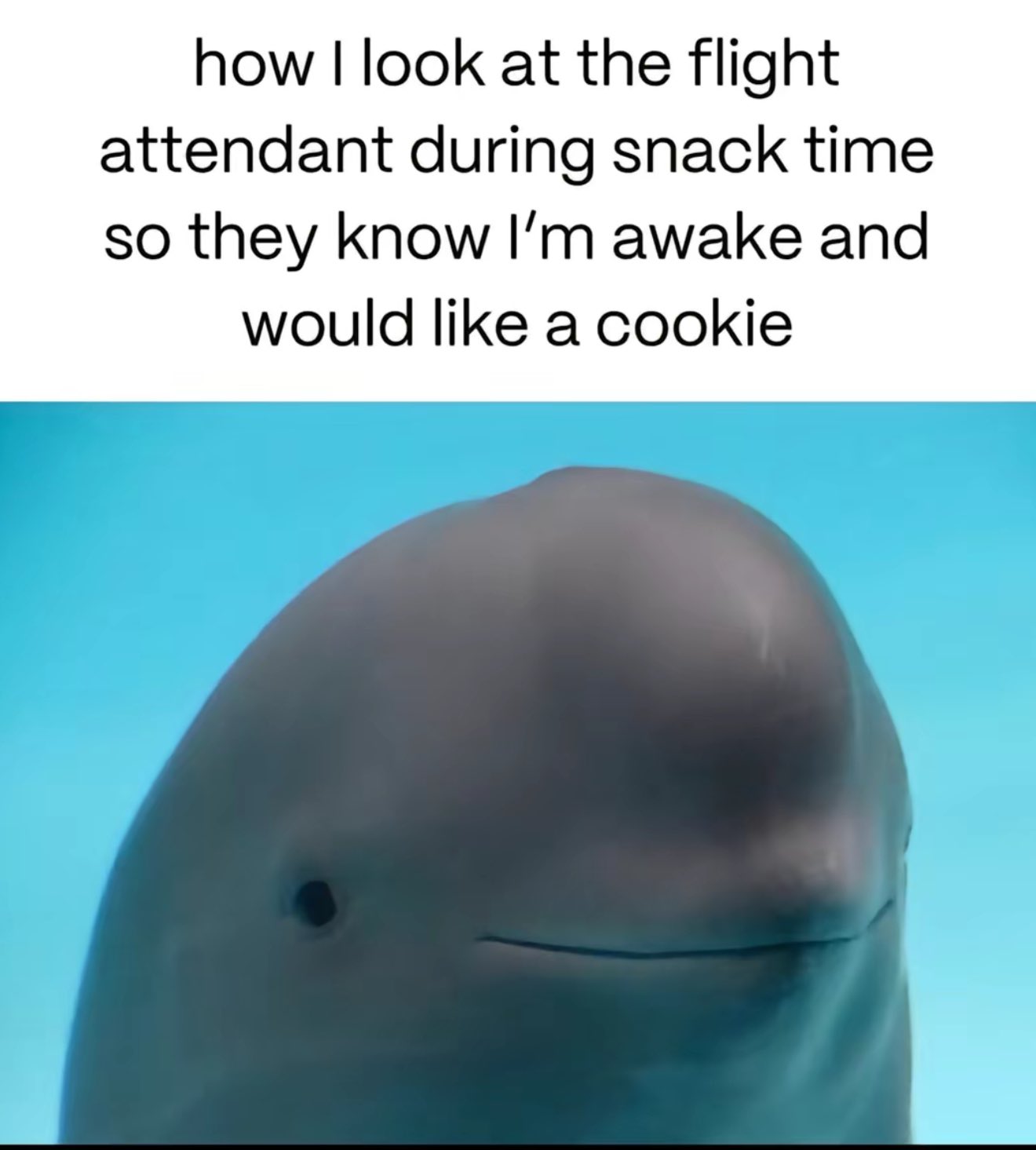 img.jpeg