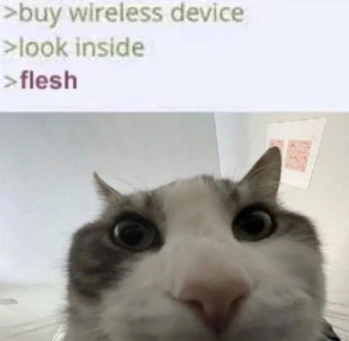 img.jpg