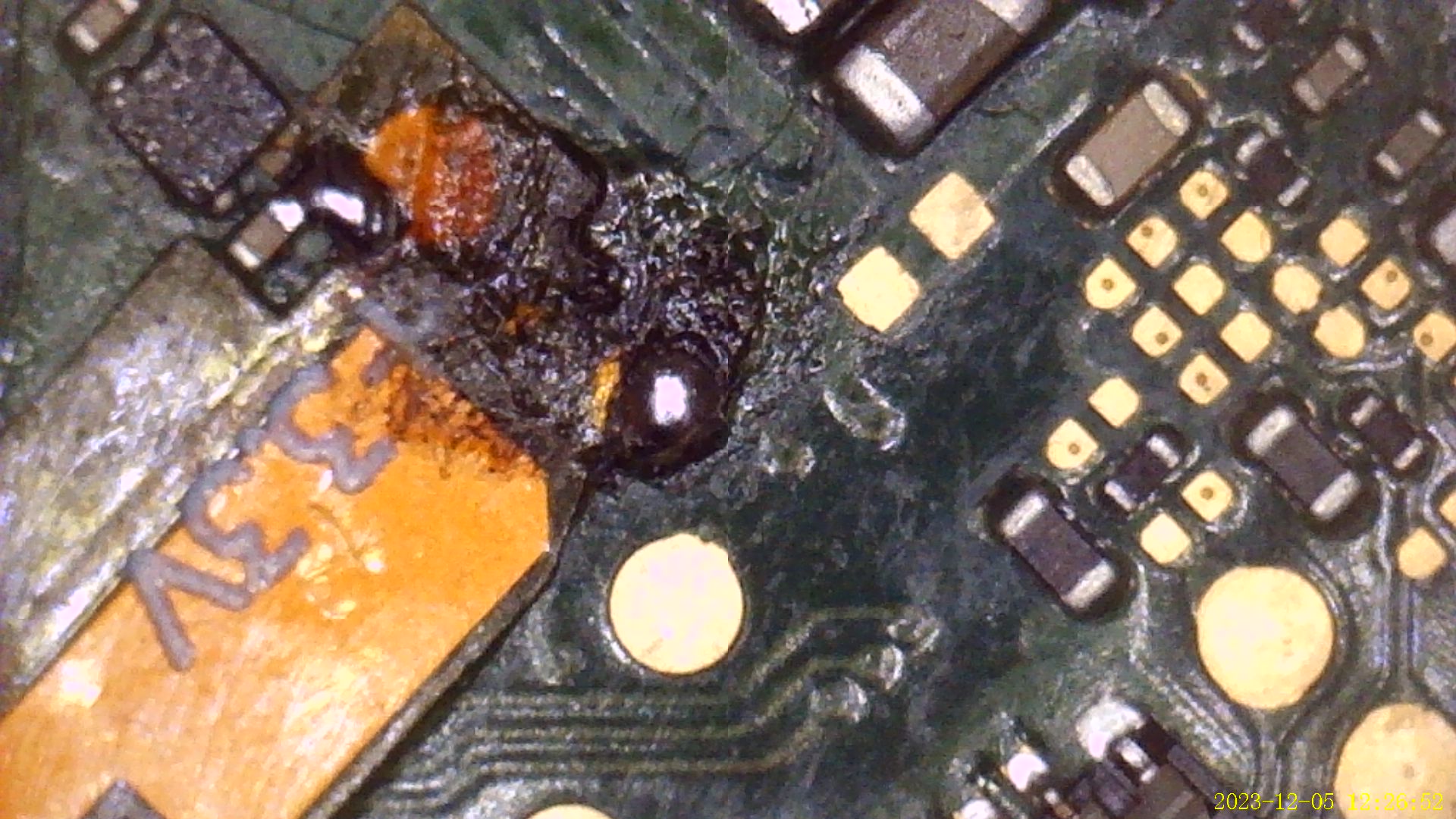 IMG1205_001.JPG