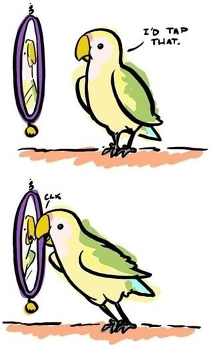 IMG_0090.png