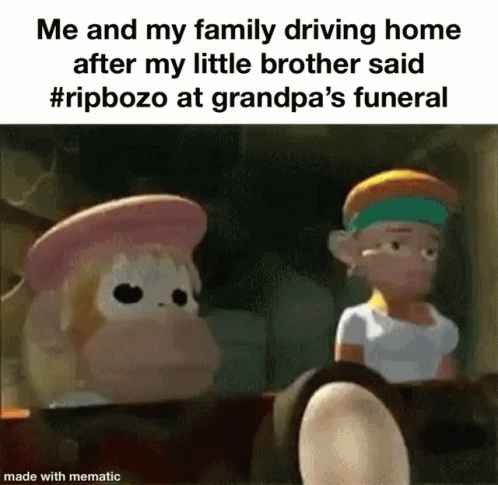 IMG_1129.gif