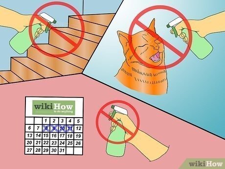 3 Ways to Celebrate Friday the 13th - wikiHow