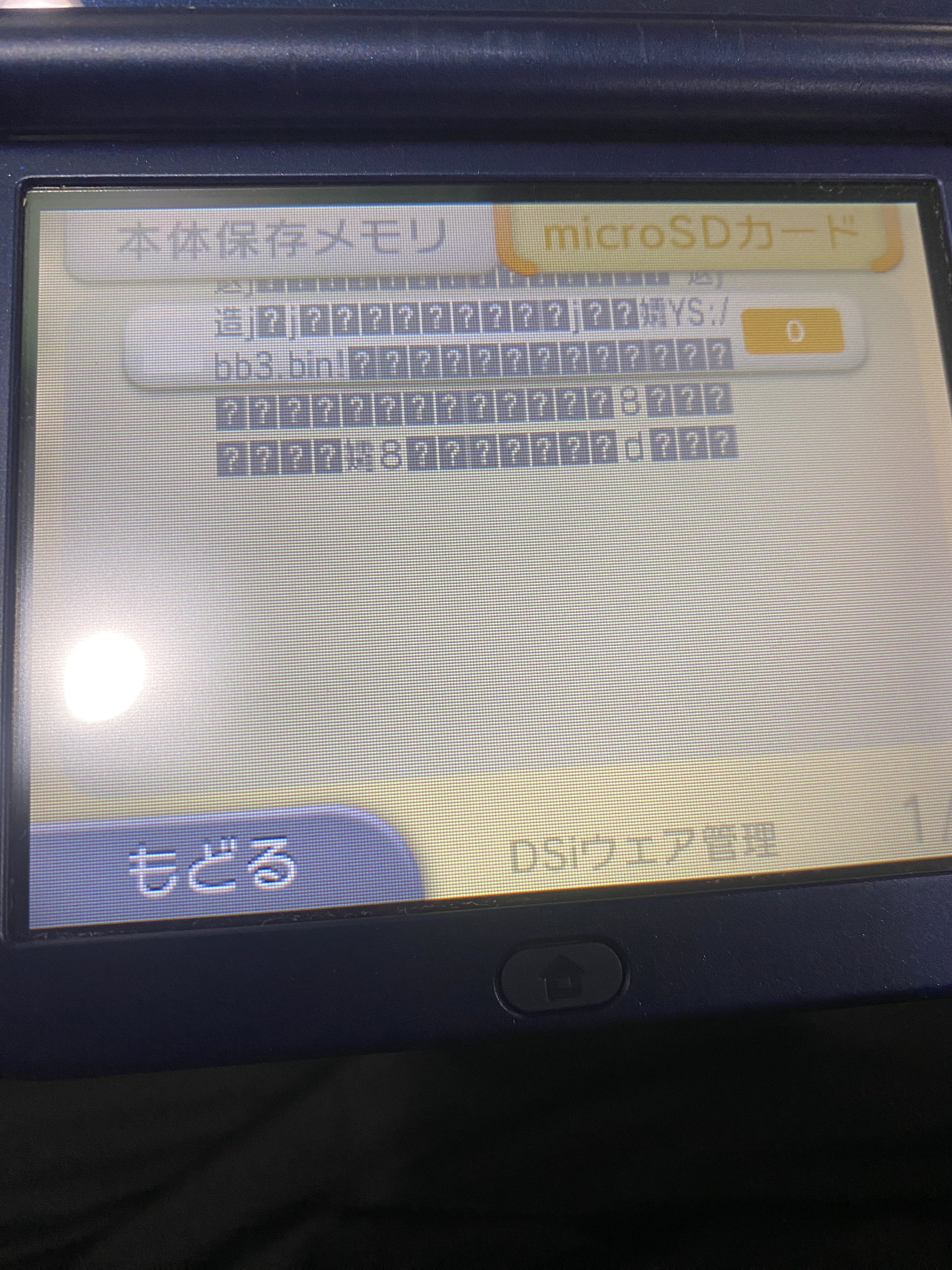IMG_3243.jpeg