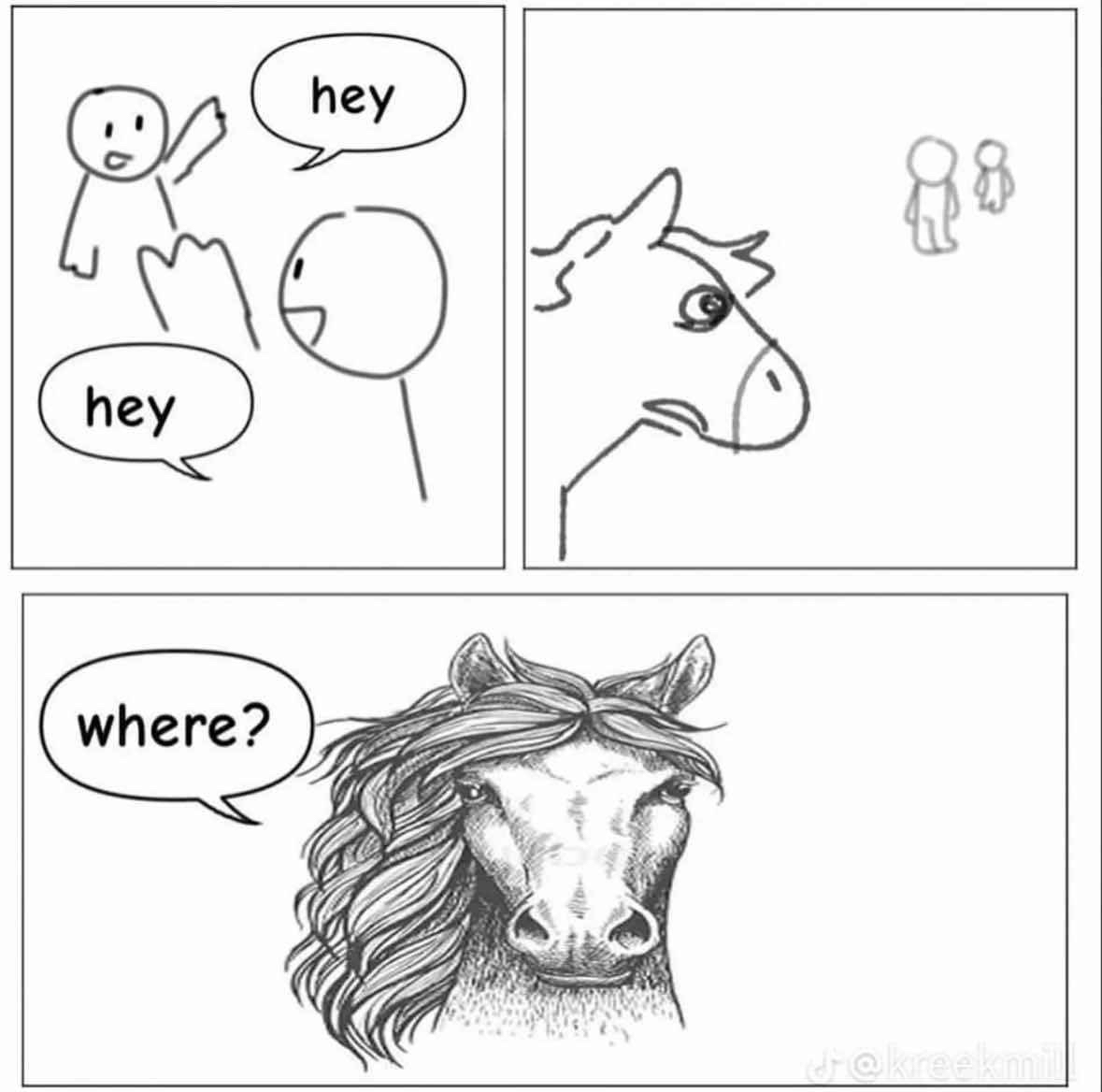 IMG_4768.png