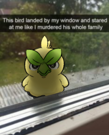 IMG_5286.png