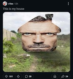 IMG_5529.jpeg